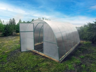 Теплица 20х40