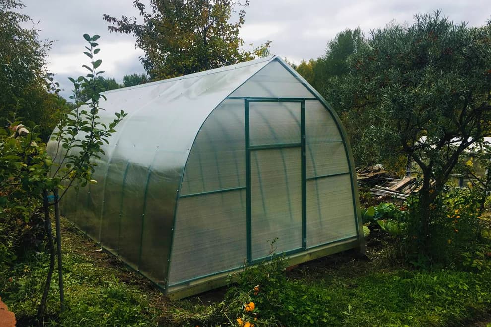 Монтаж теплицы с усиленным каркасом на участке